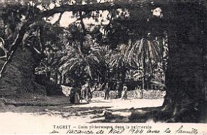Taghit - Palmeraie -1944